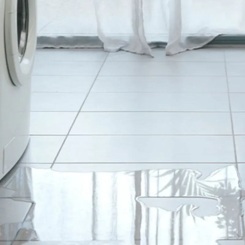 Appliance Leak Cleanup in Murrells Inlet, SC