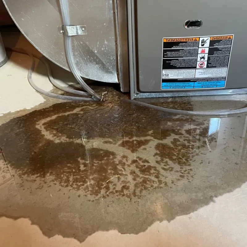 Pipe Burst and Leak Restoration in Murrells Inlet, SC