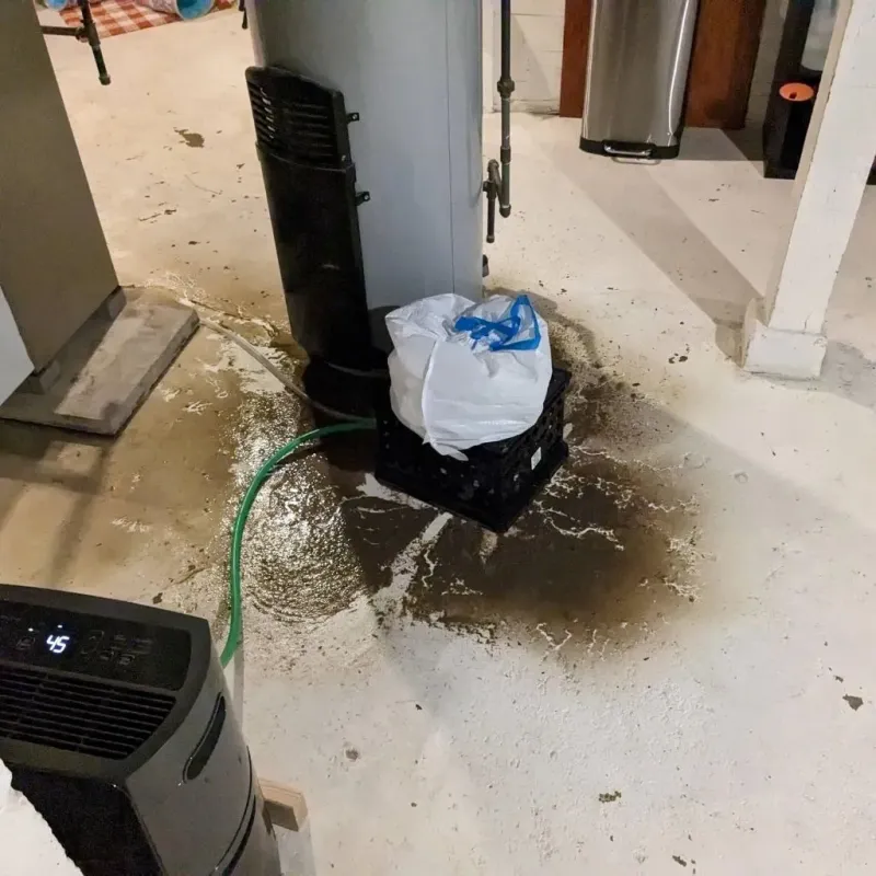Sewage Backup Cleanup Service in Murrells Inlet, SC